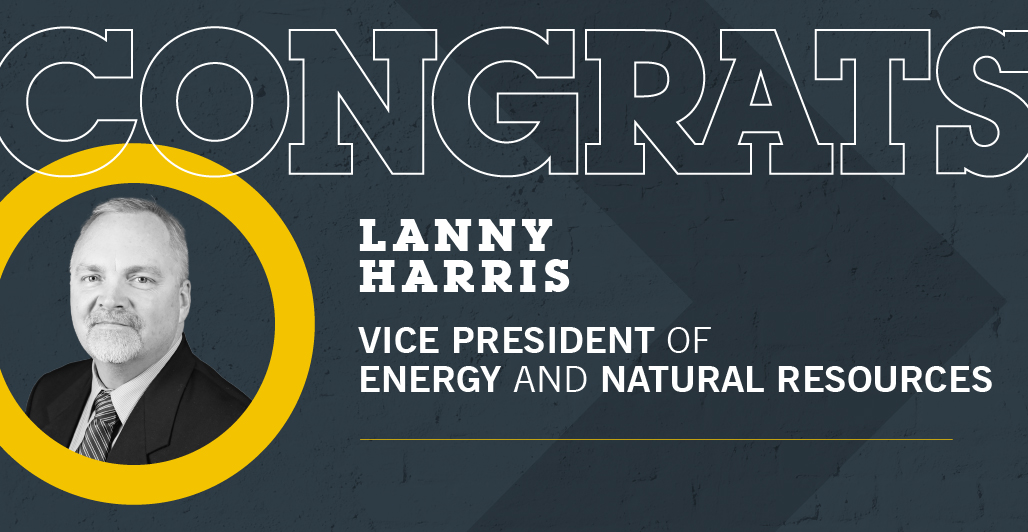 Harris Named VP of Energy and Natural Resource Division